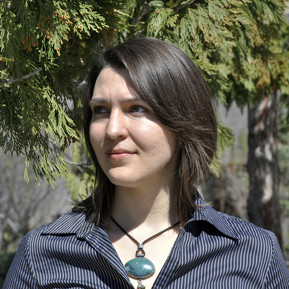 Colleen Kennedy-Karpat Elected to Board of Trustees for the Association of Adaptation Studies