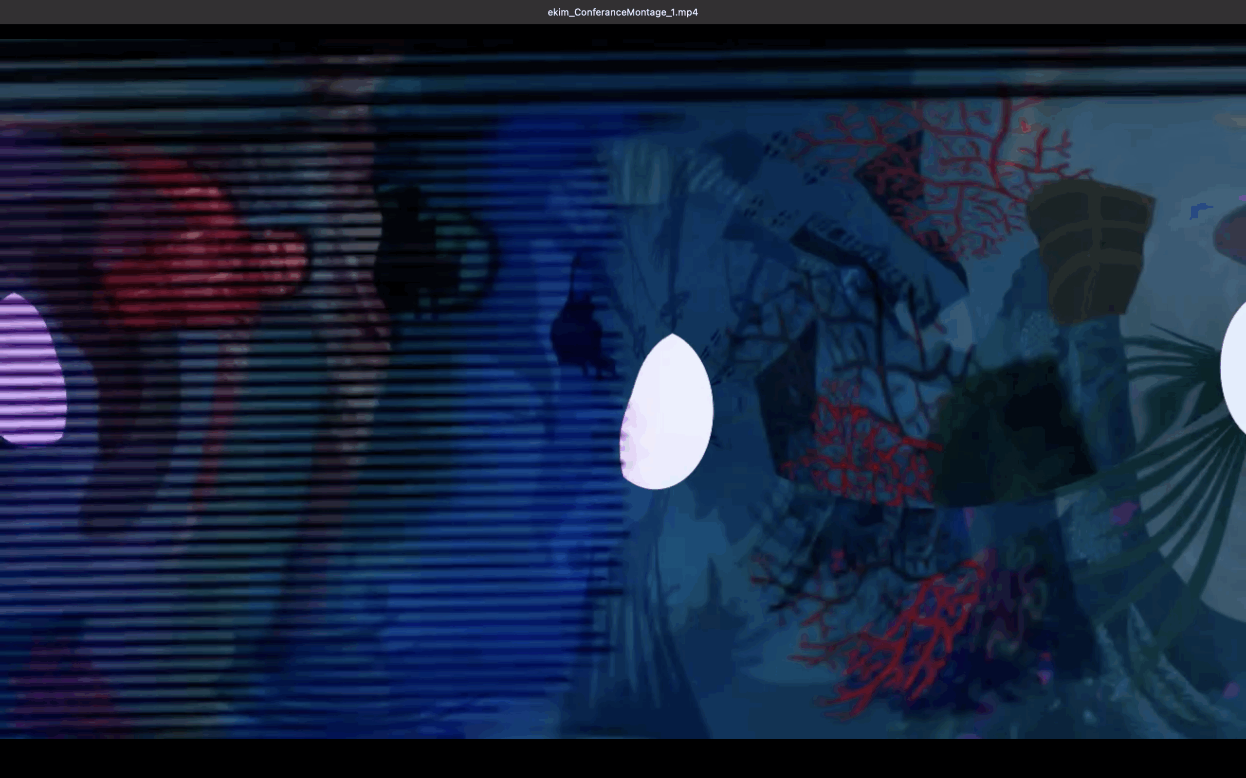 Asst. Prof. Andreas Treske gave a talk with Prof. Geert Lovink titled “Online Video: Totality and Power” at The Digital Image – Social Dimensions, Political Perspectives and Economic Constraints Conference